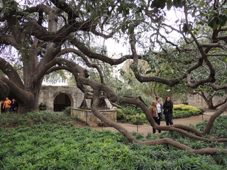 Filename=DSCN3132.JPG
Filesize=5024KiB
Dimensions=4608x3456
Date added=Sep 25, 2019 DSCN3132.JPG