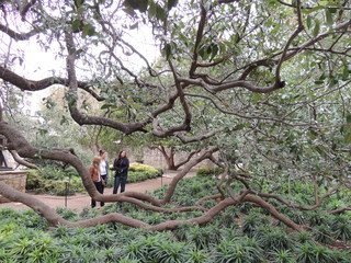 Filename=DSCN3133.JPG
Filesize=4987KiB
Dimensions=4608x3456
Date added=Sep 25, 2019 DSCN3133.JPG