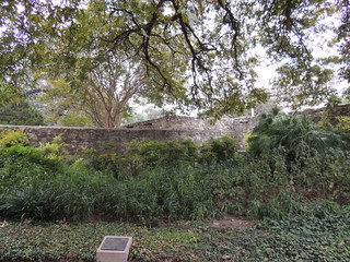 Filename=DSCN3147.JPG
Filesize=5122KiB
Dimensions=4608x3456
Date added=Sep 25, 2019 DSCN3147.JPG