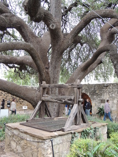 Filename=DSCN3150.JPG
Filesize=5779KiB
Dimensions=3456x4608
Date added=Sep 25, 2019 DSCN3150.JPG