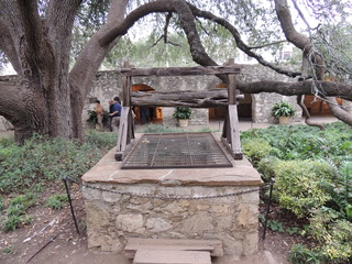 Filename=DSCN3151.JPG
Filesize=5394KiB
Dimensions=4608x3456
Date added=Sep 25, 2019 DSCN3151.JPG