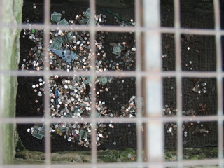 Filename=DSCN3152.JPG
Filesize=5885KiB
Dimensions=4608x3456
Date added=Sep 25, 2019 DSCN3152.JPG