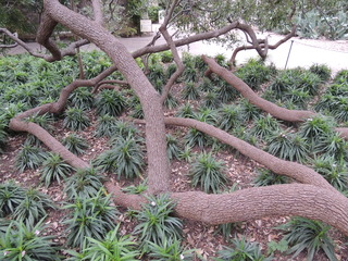 Filename=DSCN3153.JPG
Filesize=5163KiB
Dimensions=4608x3456
Date added=Sep 25, 2019 DSCN3153.JPG