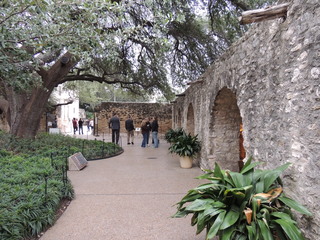 Filename=DSCN3156.JPG
Filesize=5110KiB
Dimensions=4608x3456
Date added=Sep 25, 2019 DSCN3156.JPG