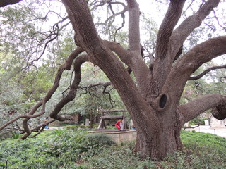 Filename=DSCN3157.JPG
Filesize=5038KiB
Dimensions=4608x3456
Date added=Sep 25, 2019 DSCN3157.JPG