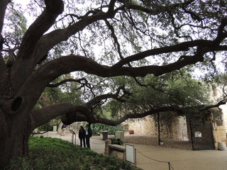 Filename=DSCN3158.JPG
Filesize=5174KiB
Dimensions=4608x3456
Date added=Sep 25, 2019 DSCN3158.JPG