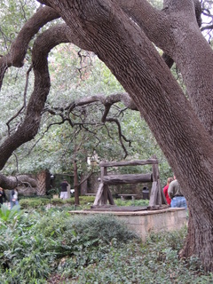 Filename=DSCN3161.JPG
Filesize=5692KiB
Dimensions=3456x4608
Date added=Sep 25, 2019 DSCN3161.JPG