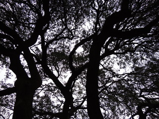 Filename=DSCN3162.JPG
Filesize=5269KiB
Dimensions=4608x3456
Date added=Sep 25, 2019 DSCN3162.JPG