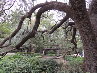 Filename=DSCN3166.JPG
Filesize=5111KiB
Dimensions=4608x3456
Date added=Sep 25, 2019 DSCN3166.JPG