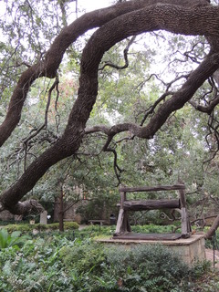 Filename=DSCN3167.JPG
Filesize=5259KiB
Dimensions=3456x4608
Date added=Sep 25, 2019 DSCN3167.JPG