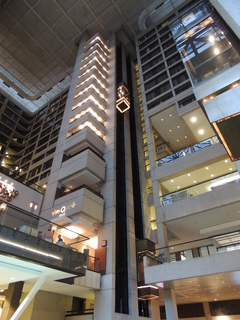 Filename=DSCN3181.JPG
Filesize=5086KiB
Dimensions=3456x4608
Date added=Sep 25, 2019 DSCN3181.JPG