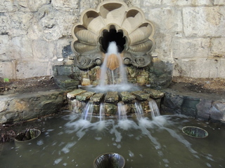 Filename=DSCN3184.JPG
Filesize=5266KiB
Dimensions=4608x3456
Date added=Sep 25, 2019 DSCN3184.JPG