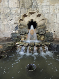 Filename=DSCN3185.JPG
Filesize=4970KiB
Dimensions=3456x4608
Date added=Sep 25, 2019 DSCN3185.JPG