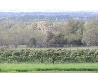 Filename=DSCN3208.JPG
Filesize=6201KiB
Dimensions=4608x3456
Date added=Sep 25, 2019 DSCN3208.JPG