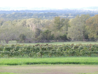 Filename=DSCN3209.JPG
Filesize=6170KiB
Dimensions=4608x3456
Date added=Sep 25, 2019 DSCN3209.JPG