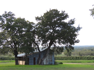 Filename=DSCN3215.JPG
Filesize=6214KiB
Dimensions=4608x3456
Date added=Sep 25, 2019 DSCN3215.JPG