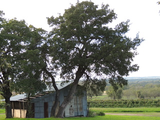 Filename=DSCN3216.JPG
Filesize=6248KiB
Dimensions=4608x3456
Date added=Sep 25, 2019 DSCN3216.JPG