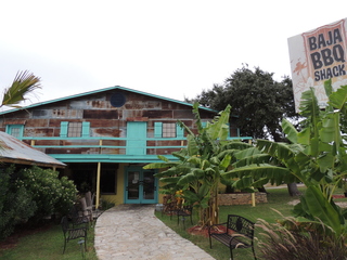 Filename=DSCN3243.JPG
Filesize=5209KiB
Dimensions=4608x3456
Date added=Sep 25, 2019 DSCN3243.JPG