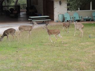 Filename=DSCN3297.JPG
Filesize=6173KiB
Dimensions=4608x3456
Date added=Sep 25, 2019 DSCN3297.JPG