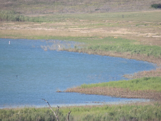 Filename=DSCN3322.JPG
Filesize=5737KiB
Dimensions=4608x3456
Date added=Sep 25, 2019 DSCN3322.JPG