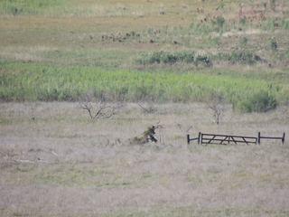 Filename=DSCN3324.JPG
Filesize=5821KiB
Dimensions=4608x3456
Date added=Sep 25, 2019 DSCN3324.JPG