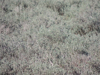 Filename=DSCN3327.JPG
Filesize=6055KiB
Dimensions=4608x3456
Date added=Sep 25, 2019 DSCN3327.JPG