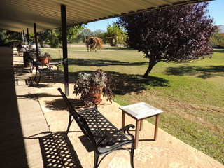 Filename=DSCN3337.JPG
Filesize=5473KiB
Dimensions=4608x3456
Date added=Sep 25, 2019 DSCN3337.JPG