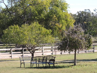 Filename=DSCN3342.JPG
Filesize=5765KiB
Dimensions=4608x3456
Date added=Sep 25, 2019 DSCN3342.JPG