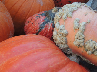 Filename=DSCN3346.JPG
Filesize=5843KiB
Dimensions=4608x3456
Date added=Sep 25, 2019 DSCN3346.JPG