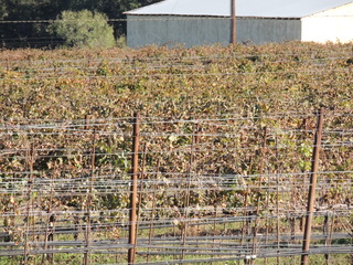 Filename=DSCN3357.JPG
Filesize=6118KiB
Dimensions=4608x3456
Date added=Sep 25, 2019 DSCN3357.JPG