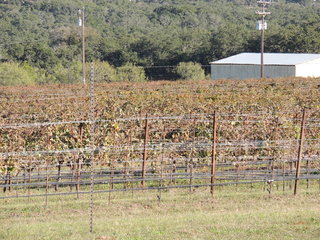 Filename=DSCN3358.JPG
Filesize=5445KiB
Dimensions=4608x3456
Date added=Sep 25, 2019 DSCN3358.JPG