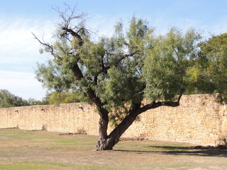 Filename=DSCN3364.JPG
Filesize=5917KiB
Dimensions=4608x3456
Date added=Sep 25, 2019 DSCN3364.JPG