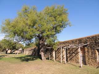 Filename=DSCN3380.JPG
Filesize=5188KiB
Dimensions=4608x3456
Date added=Sep 25, 2019 DSCN3380.JPG