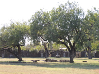 Filename=DSCN3391.JPG
Filesize=6084KiB
Dimensions=4608x3456
Date added=Sep 25, 2019 DSCN3391.JPG