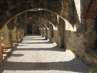 Filename=DSCN3411.JPG
Filesize=5562KiB
Dimensions=4608x3456
Date added=Sep 25, 2019 DSCN3411.JPG