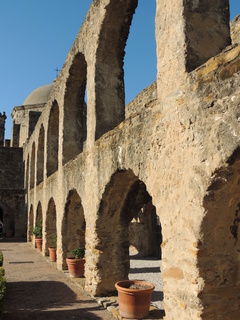 Filename=DSCN3434.JPG
Filesize=5784KiB
Dimensions=3456x4608
Date added=Sep 25, 2019 DSCN3434.JPG