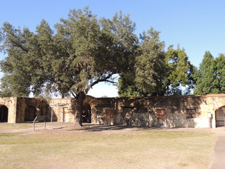 Filename=DSCN3472.JPG
Filesize=5211KiB
Dimensions=4608x3456
Date added=Sep 25, 2019 DSCN3472.JPG