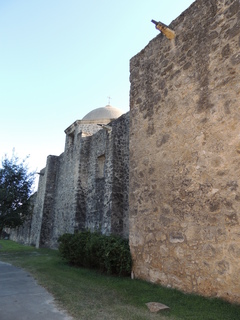 Filename=DSCN3501.JPG
Filesize=5499KiB
Dimensions=3456x4608
Date added=Sep 25, 2019 DSCN3501.JPG