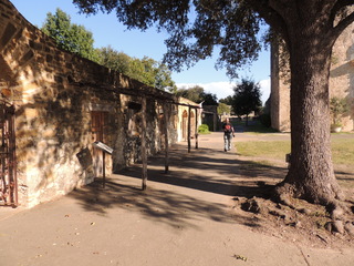 Filename=DSCN3507.JPG
Filesize=5437KiB
Dimensions=4608x3456
Date added=Sep 25, 2019 DSCN3507.JPG