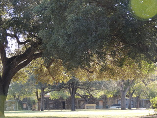 Filename=DSCN3539.JPG
Filesize=5995KiB
Dimensions=4608x3456
Date added=Sep 25, 2019 DSCN3539.JPG