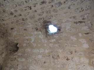 Filename=DSCN3591.JPG
Filesize=5018KiB
Dimensions=4608x3456
Date added=Sep 25, 2019 DSCN3591.JPG