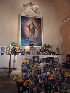 Filename=DSCN3609.JPG
Filesize=5053KiB
Dimensions=3456x4608
Date added=Sep 25, 2019 DSCN3609.JPG