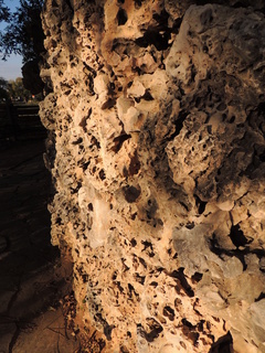 Filename=DSCN3644.JPG
Filesize=5566KiB
Dimensions=3456x4608
Date added=Sep 25, 2019 DSCN3644.JPG