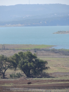 Filename=DSCN3660.JPG
Filesize=5858KiB
Dimensions=3456x4608
Date added=Sep 25, 2019 DSCN3660.JPG