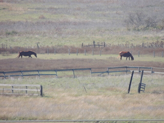 Filename=DSCN3662.JPG
Filesize=5733KiB
Dimensions=4608x3456
Date added=Sep 25, 2019 DSCN3662.JPG