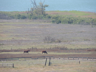 Filename=DSCN3663.JPG
Filesize=5975KiB
Dimensions=4608x3456
Date added=Sep 25, 2019 DSCN3663.JPG