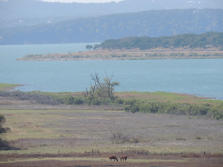 Filename=DSCN3664.JPG
Filesize=5739KiB
Dimensions=4608x3456
Date added=Sep 25, 2019 DSCN3664.JPG