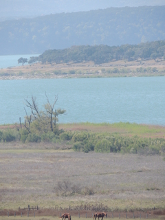 Filename=DSCN3665.JPG
Filesize=5563KiB
Dimensions=3456x4608
Date added=Sep 25, 2019 DSCN3665.JPG