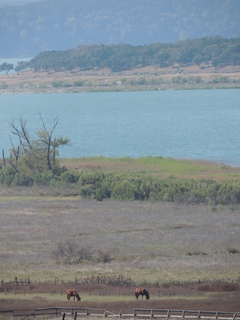 Filename=DSCN3666.JPG
Filesize=5932KiB
Dimensions=3456x4608
Date added=Sep 25, 2019 DSCN3666.JPG