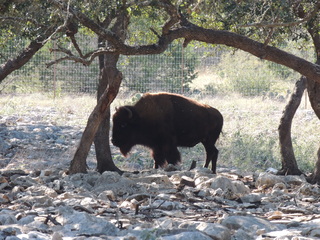 Filename=DSCN3668.JPG
Filesize=6059KiB
Dimensions=4608x3456
Date added=Sep 25, 2019 DSCN3668.JPG